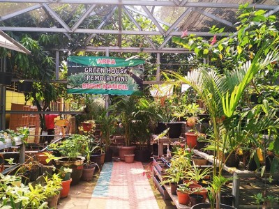 Green House